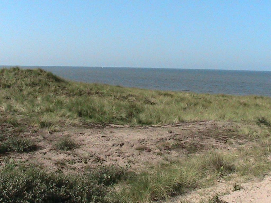 Beachroom Zandvoort Bagian luar foto